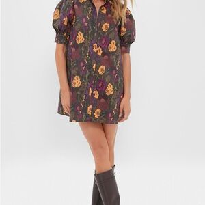 Hyacinth House/Tuckernuck Floral Louisa Dress